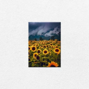 Cuadro decorativo girasoles 1
