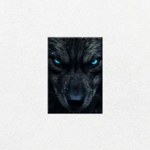 Lobo Negro Ojos Azules - Imagen Principal