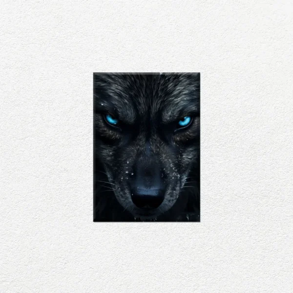 Lobo Negro Ojos Azules - Imagen Principal