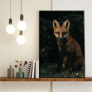 Zorro Salvaje en el Bosque - Imagen Galería 1