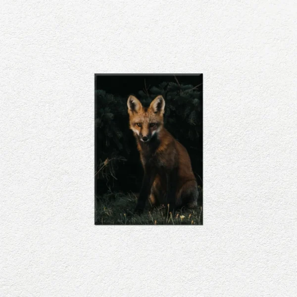 Zorro Salvaje en el Bosque - Imagen Principal