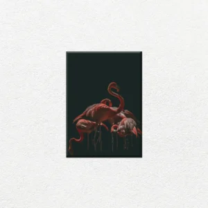 Flamencos en la Oscuridad - Imagen Principal