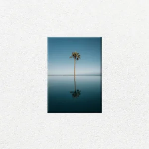 Palmera Solitaria en Reflejo - Imagen Principal