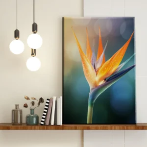 Ave del Paraíso Tropical - Imagen Galería 1