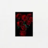 Rosas Rojas sobre Fondo Negro - Imagen Principal