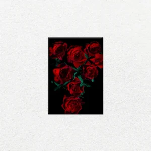 Rosas Rojas sobre Fondo Negro - Imagen Principal