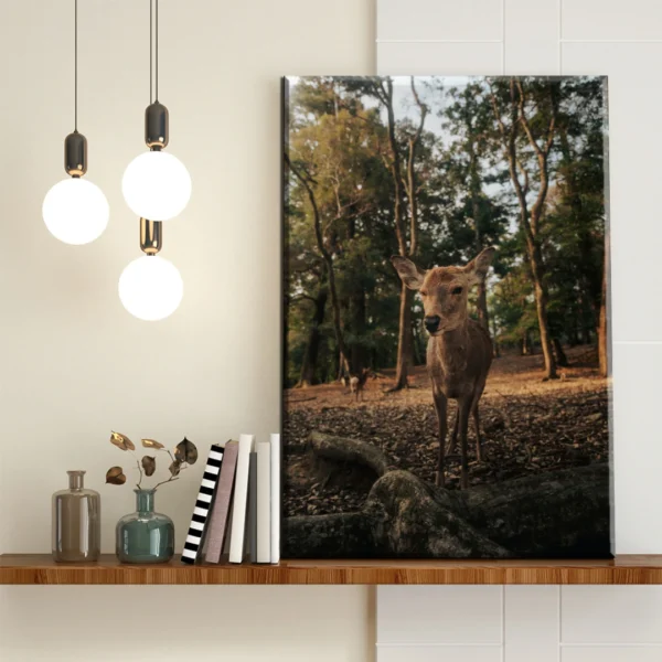 Ciervo en el Bosque Otoñal - Imagen Galería 1