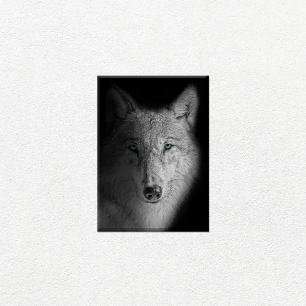 Lobo de Ojos Azules - Imagen Principal